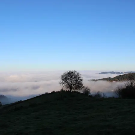 Ferienhaus Viaux-fontaine *