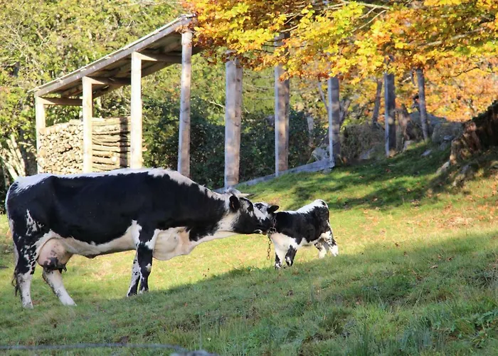 Prázdninový dům Viaux-fontaine Saulxures-sur-Moselotte