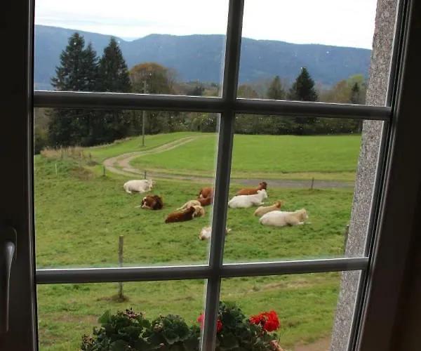 Viaux-fontaine Prázdninový dům