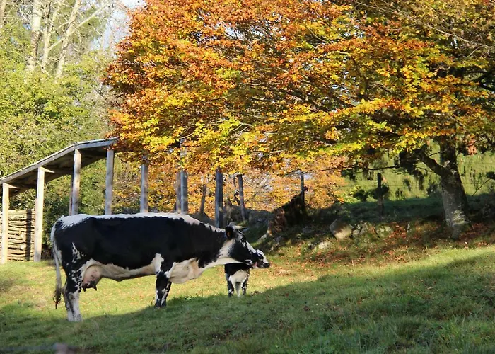 Viaux-fontaine * Saulxures-sur-Moselotte